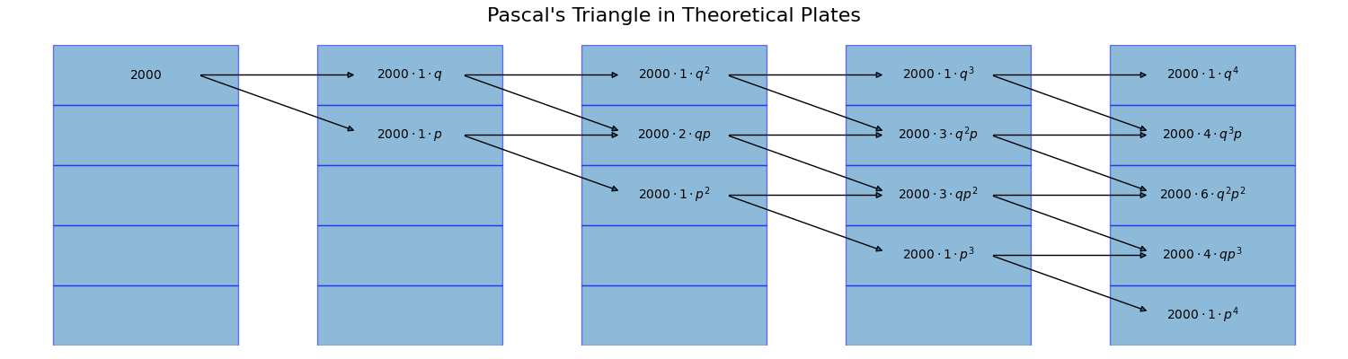 Theoretical Plates